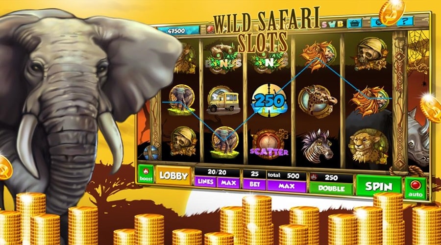 Wild Safari